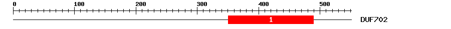 Signature Domain