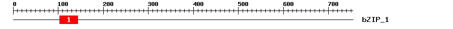 Signature Domain