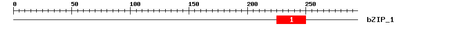 Signature Domain
