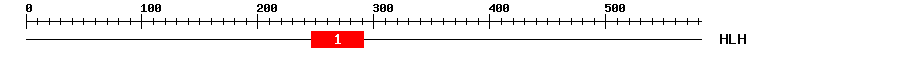 Signature Domain