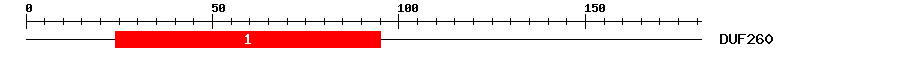 Signature Domain