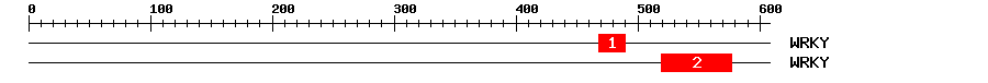 Signature Domain