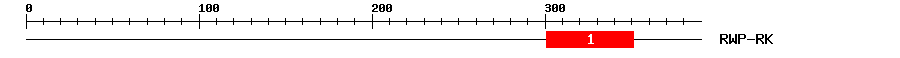 Signature Domain