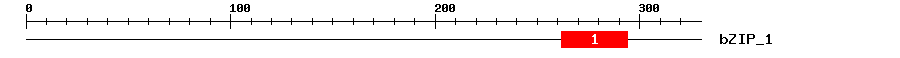Signature Domain