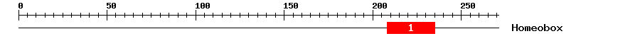 Signature Domain