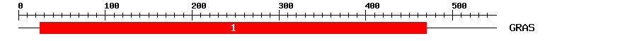 Signature Domain