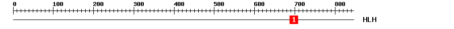 Signature Domain
