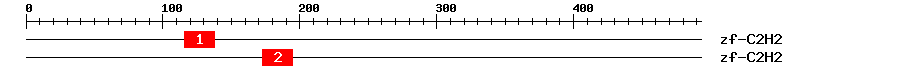 Signature Domain