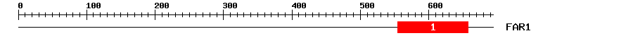 Signature Domain