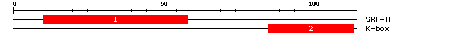 Signature Domain