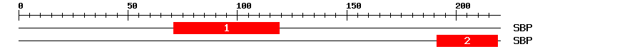 Signature Domain