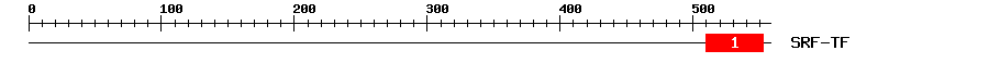 Signature Domain
