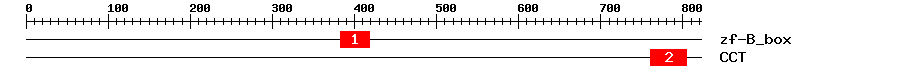Signature Domain