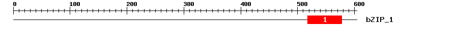 Signature Domain