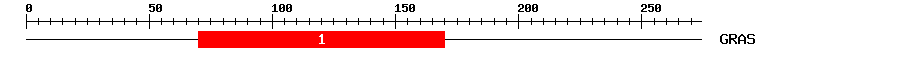 Signature Domain