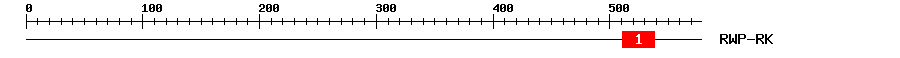Signature Domain