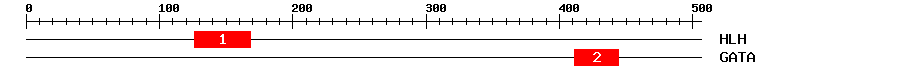 Signature Domain
