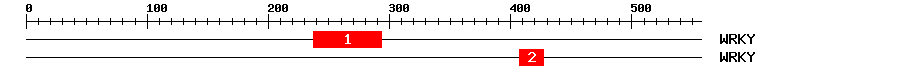 Signature Domain