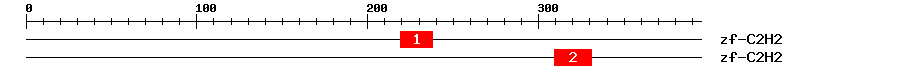 Signature Domain