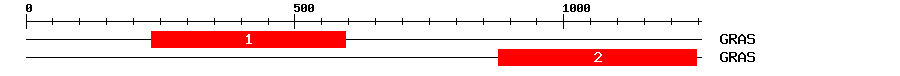 Signature Domain