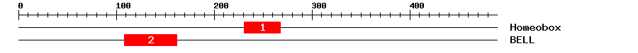 Signature Domain