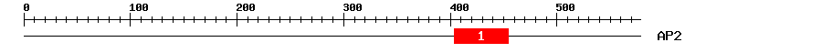 Signature Domain