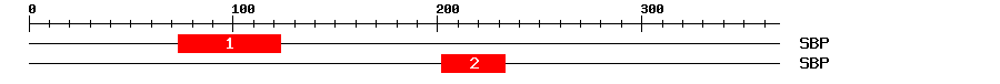 Signature Domain