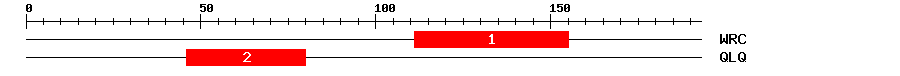 Signature Domain