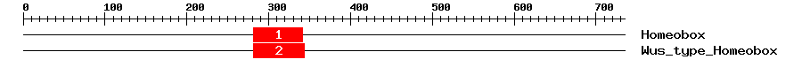 Signature Domain