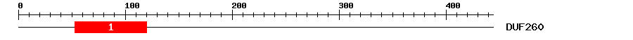 Signature Domain