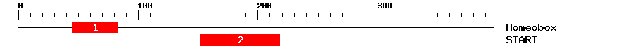 Signature Domain