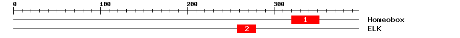 Signature Domain