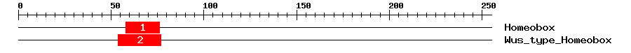 Signature Domain