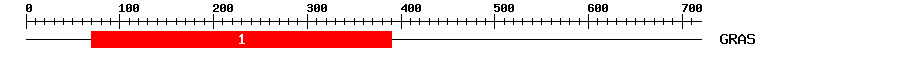 Signature Domain