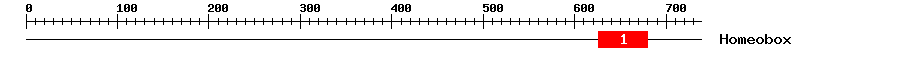 Signature Domain