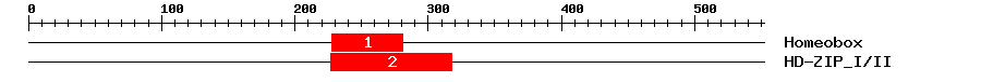 Signature Domain