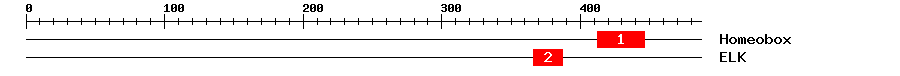 Signature Domain