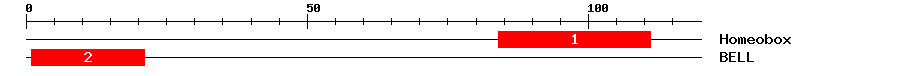 Signature Domain