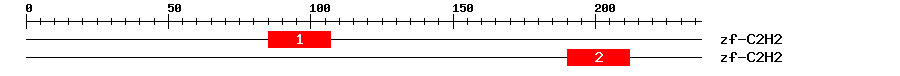 Signature Domain