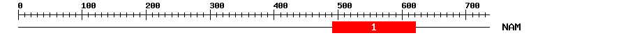 Signature Domain