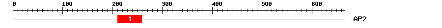 Signature Domain