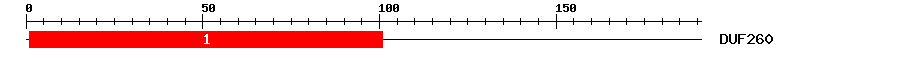 Signature Domain