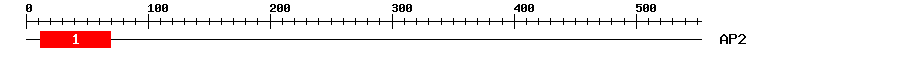 Signature Domain