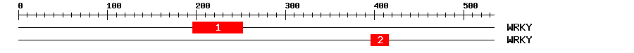 Signature Domain