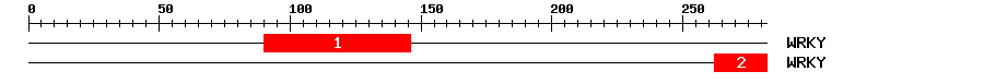 Signature Domain