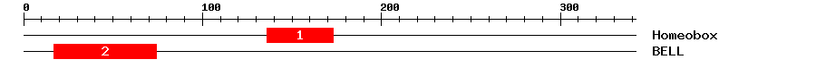 Signature Domain