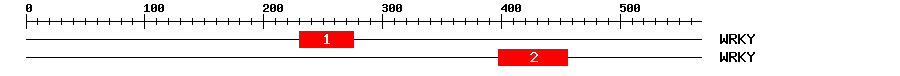 Signature Domain