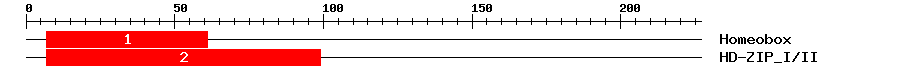 Signature Domain