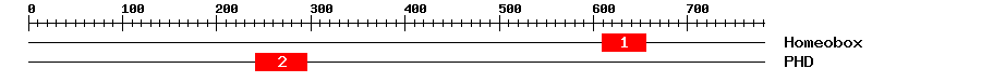 Signature Domain