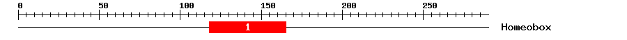 Signature Domain